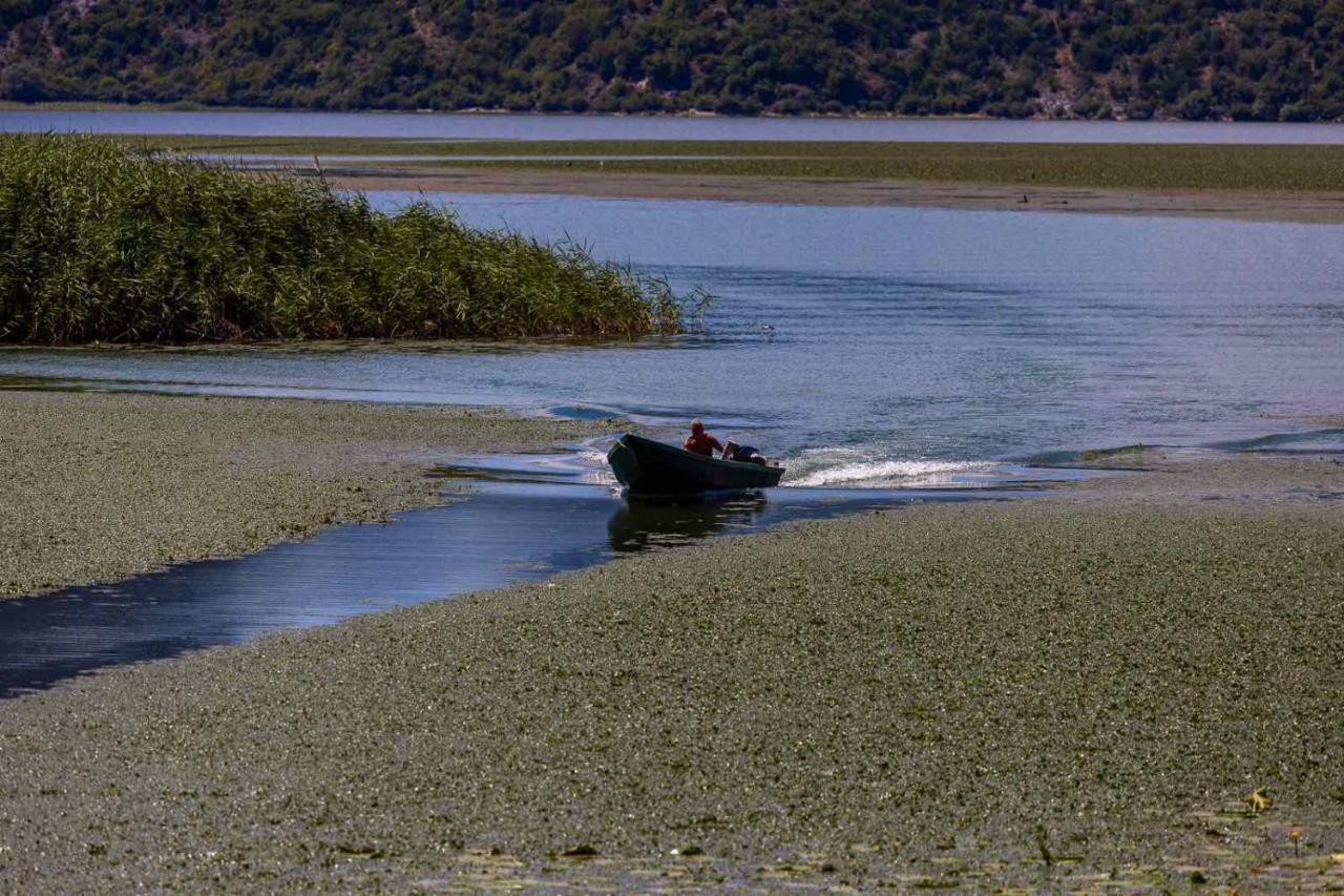Lake House Buric Vranjina Bagian luar foto