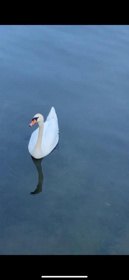 Lake House Buric Vranjina Bagian luar foto
